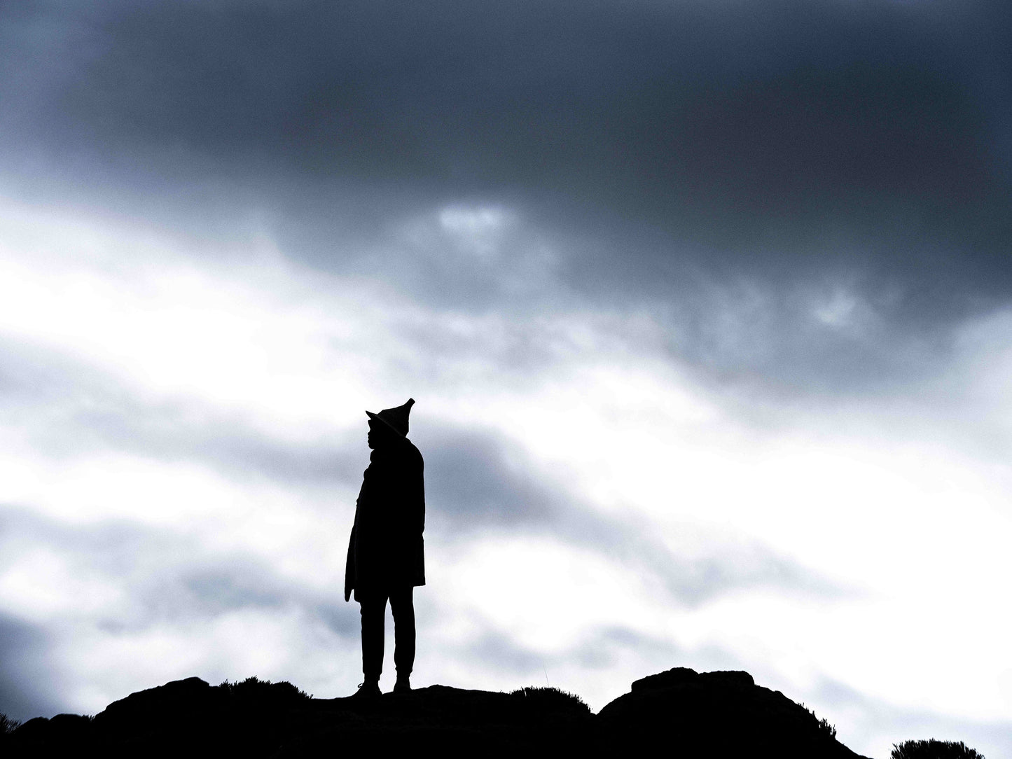 The Watcher